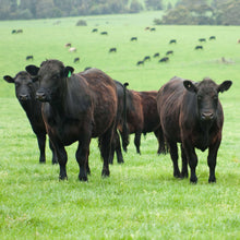 Cargar imagen en el visor de la galería, ¡TOP! 6 HAMBURGUESAS SIN ADITIVOS! DE &quot;BLACK ANGUS&quot; ( 6u x 200gr)
