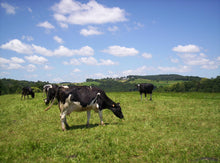 Cargar imagen en el visor de la galería, CHULETÓN VACA FRISONA PREMIUM (0,9-1kg aprox)
